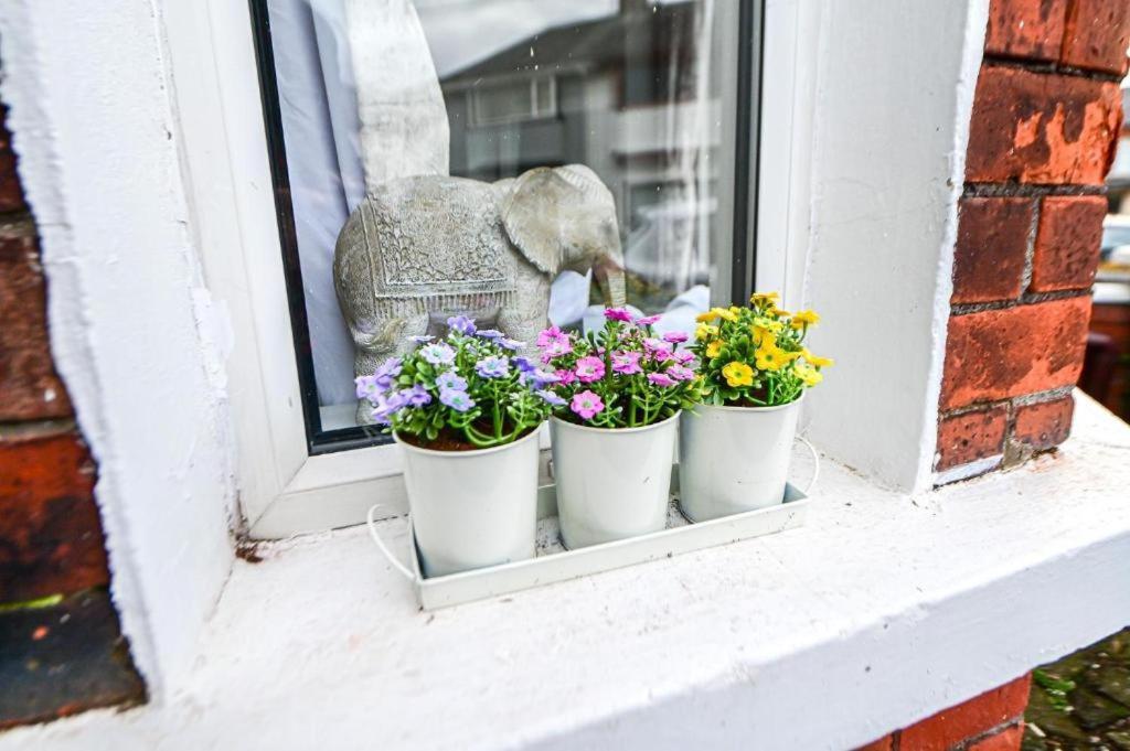Aunty Katie'S House, Ni Tourist Board Certified With Free Continental Breakfast Apartment Belfast Bagian luar foto
